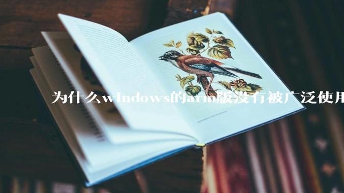 为什么windows的arm版没有被广泛使用？
