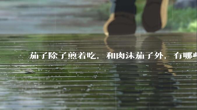 茄子除了煎着吃，和肉沫茄子外，有哪些吃法？