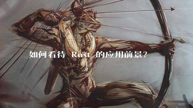如何看待 Rust 的应用前景？