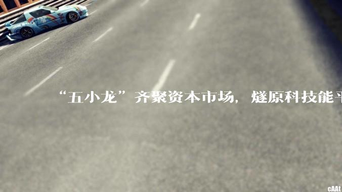 “五小龙”齐聚资本市场，燧原科技能平替英伟达？_公司_芯片_软硬件