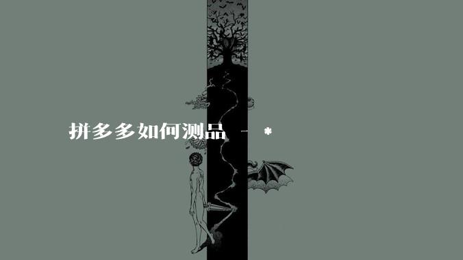 拼多多如何测品 - *