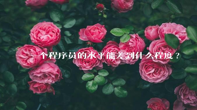 一个程序员的水平能差到什么程度?