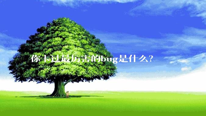 你卡过最厉害的bug是什么？