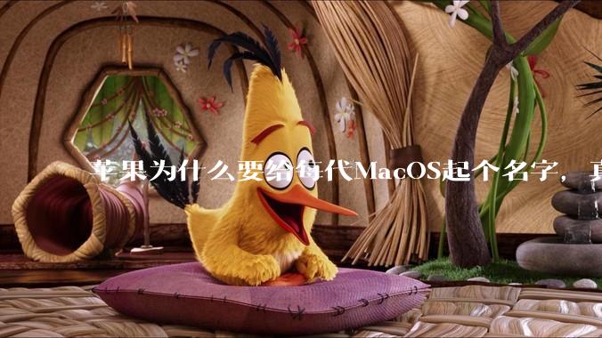 苹果为什么要给每代MacOS起个名字，真以为人们记得住分得清吗？