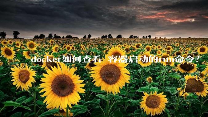 docker如何查看 容器启动的run命令？