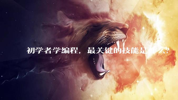 初学者学编程，最关键的技能是什么？