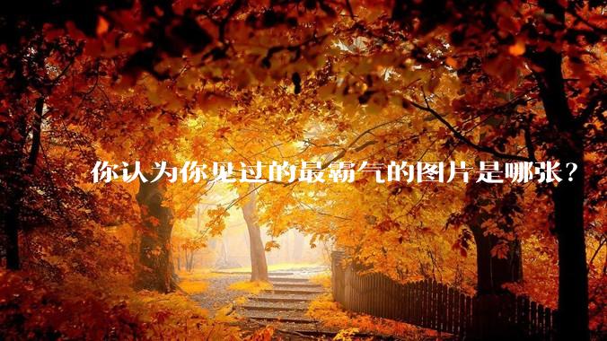 你认为你见过的最霸气的图片是哪张？