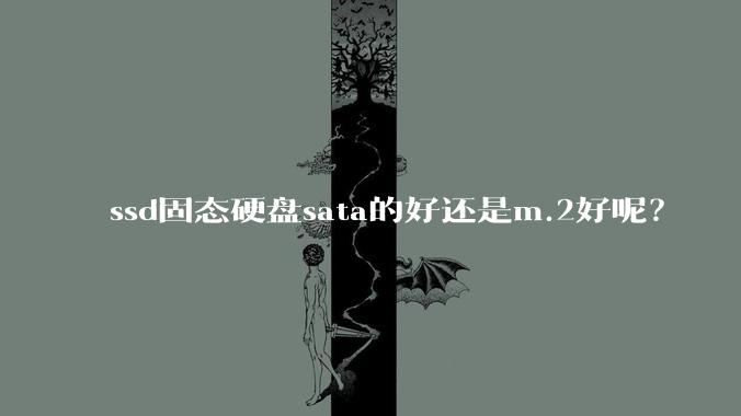 ssd固态硬盘sata的好还是m.2好呢？