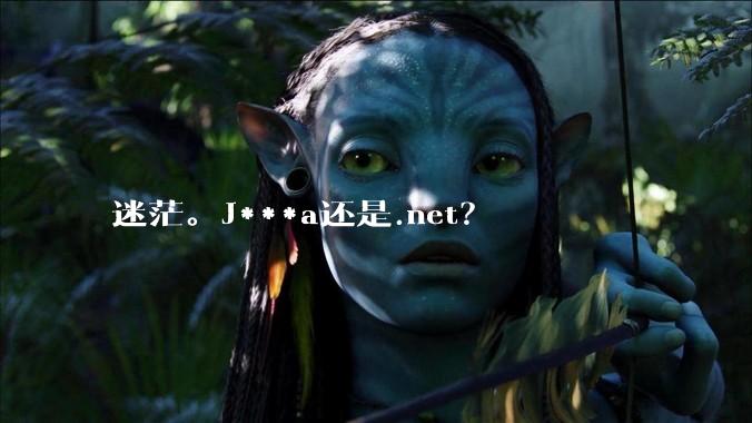 迷茫。J***a还是.net？