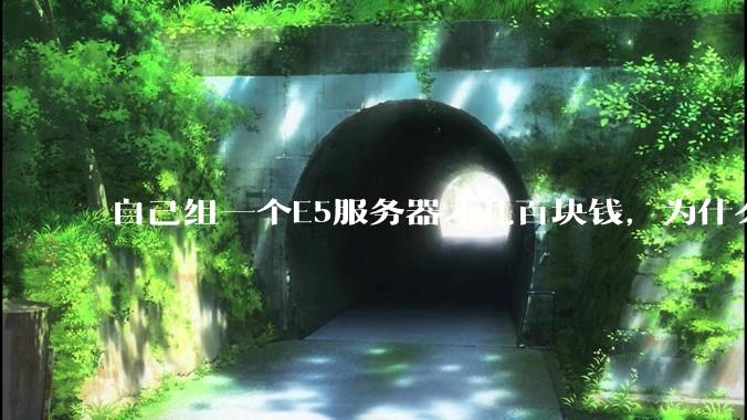 自己组一个E5服务器才几百块钱，为什么去阿里云租这么贵?